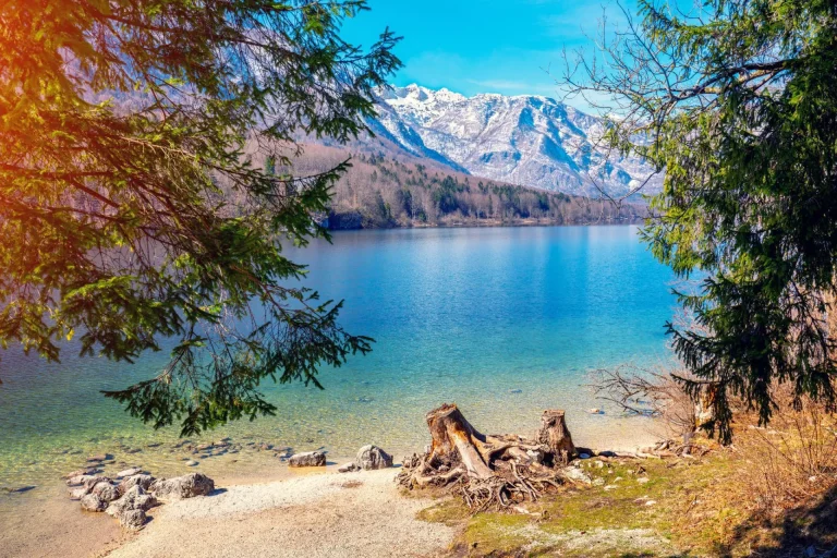 Lake Bohinj in spring