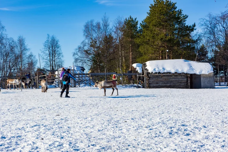 sami village