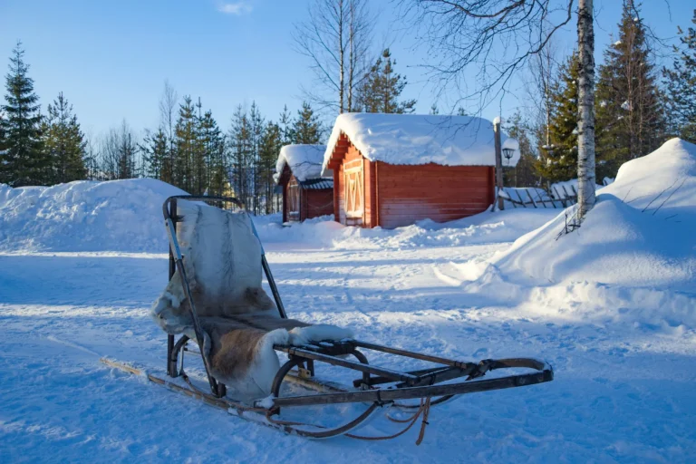 sami village sleds