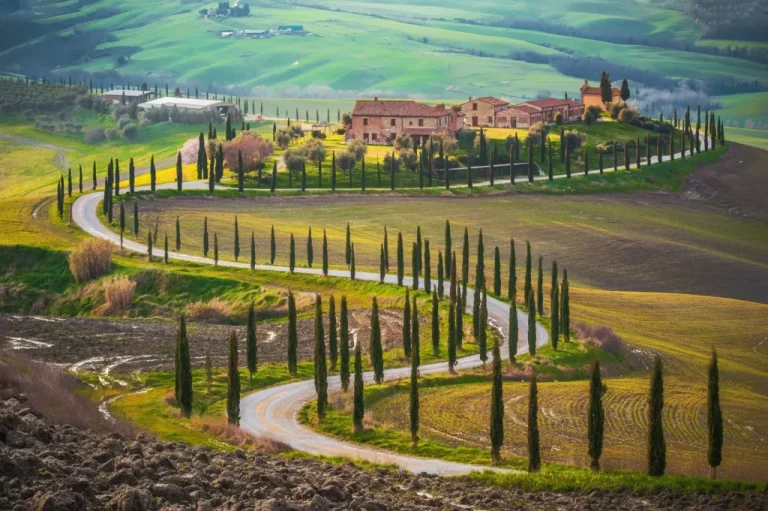 tuscany fields